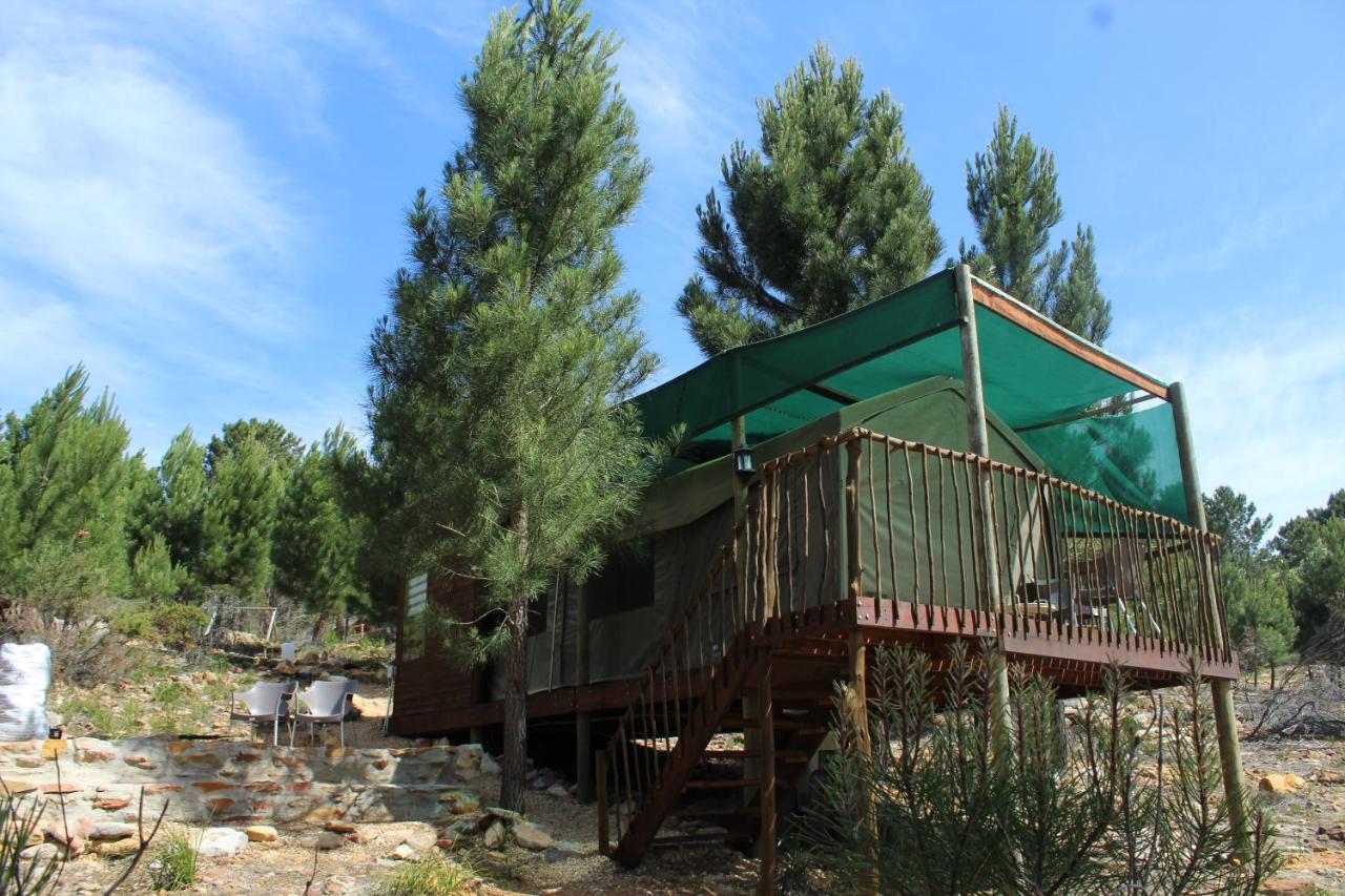 Otium Oasis Glamping & Camping Hartebeesrivier Extérieur photo