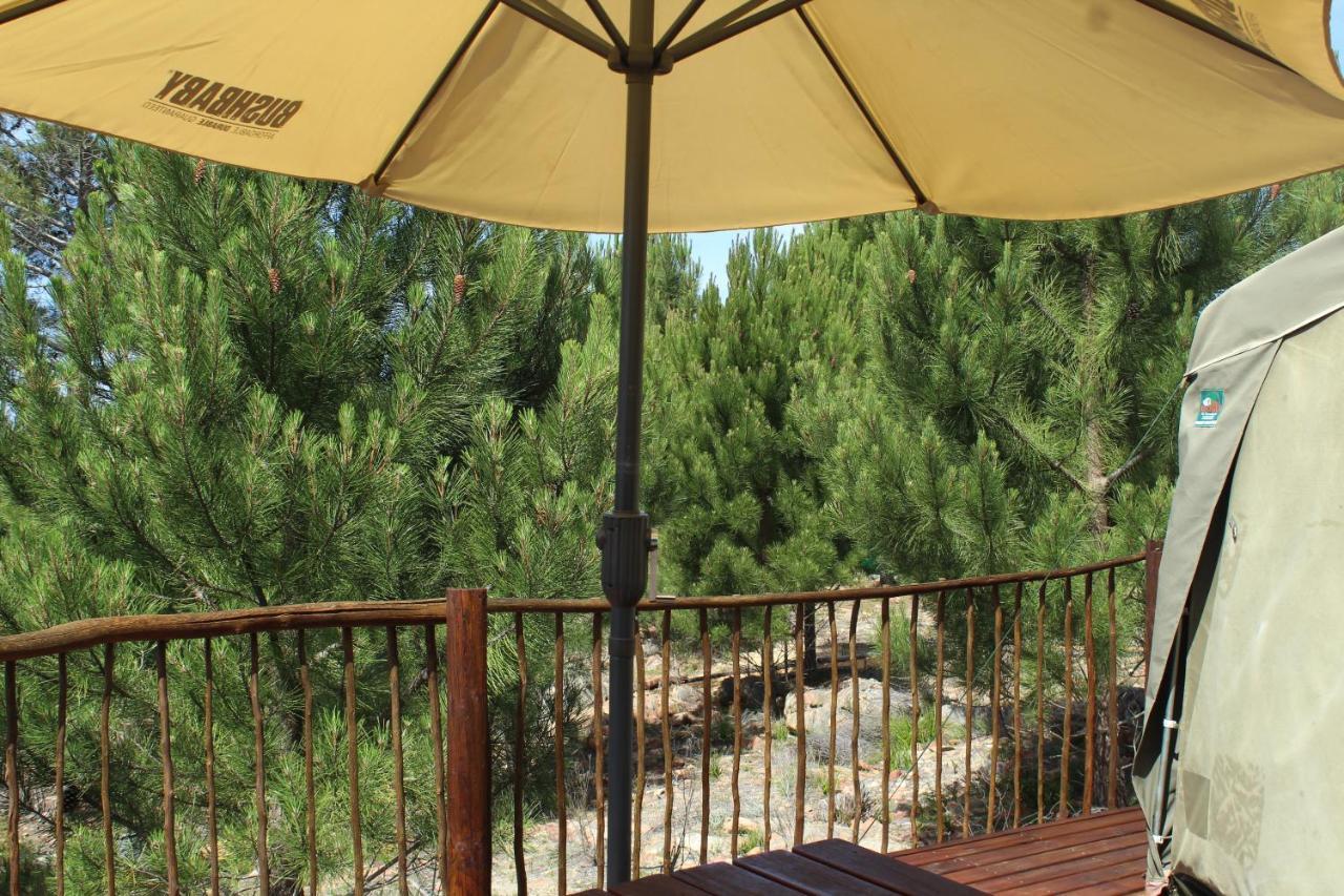 Otium Oasis Glamping & Camping Hartebeesrivier Extérieur photo