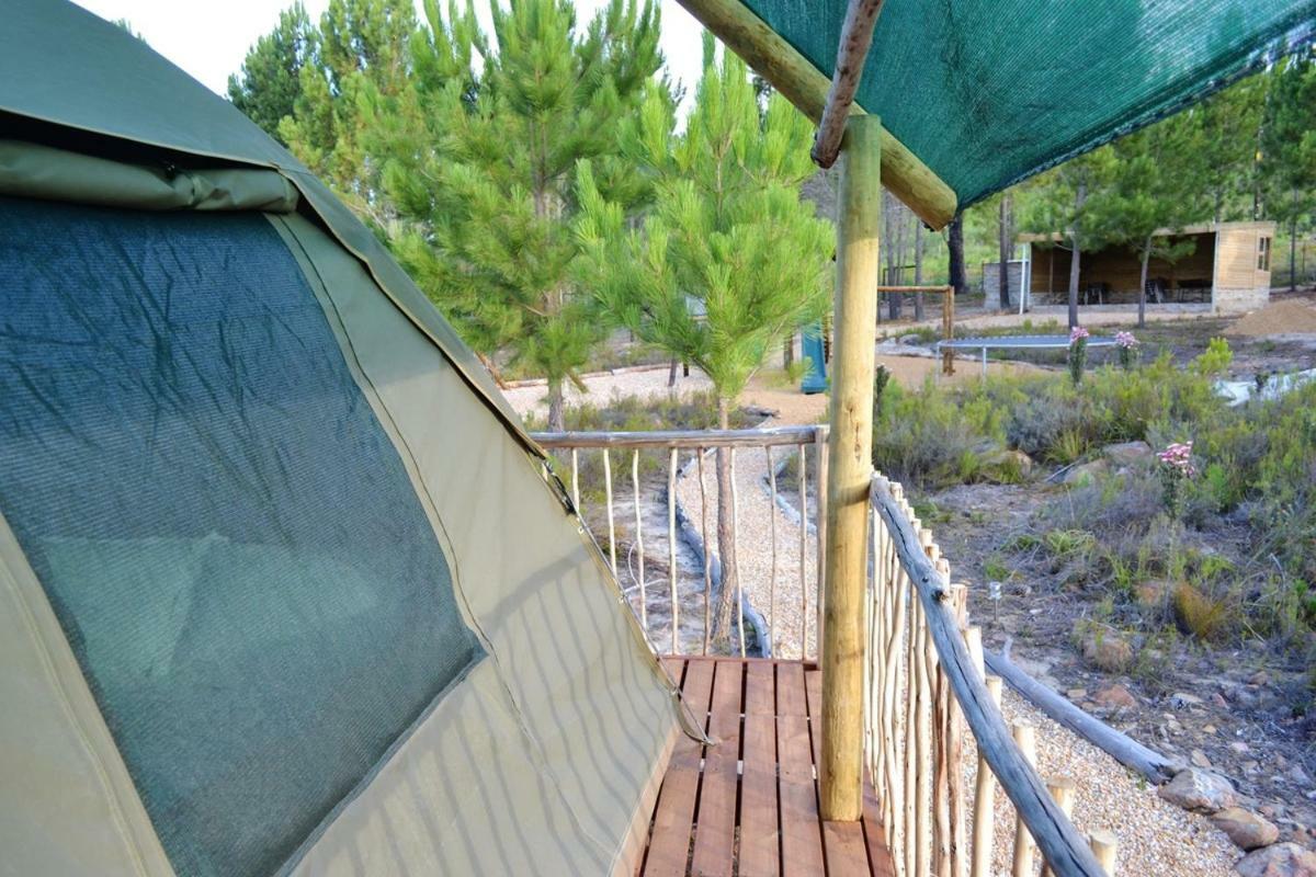 Otium Oasis Glamping & Camping Hartebeesrivier Extérieur photo