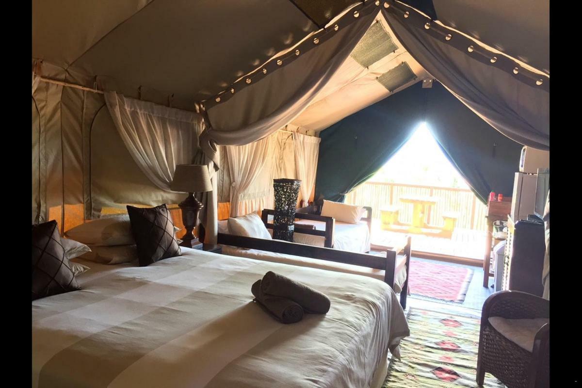Otium Oasis Glamping & Camping Hartebeesrivier Extérieur photo