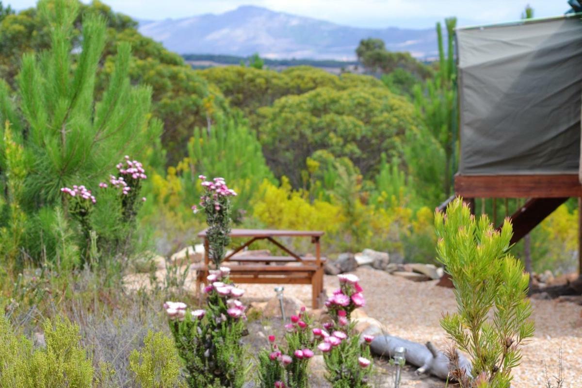 Otium Oasis Glamping & Camping Hartebeesrivier Extérieur photo